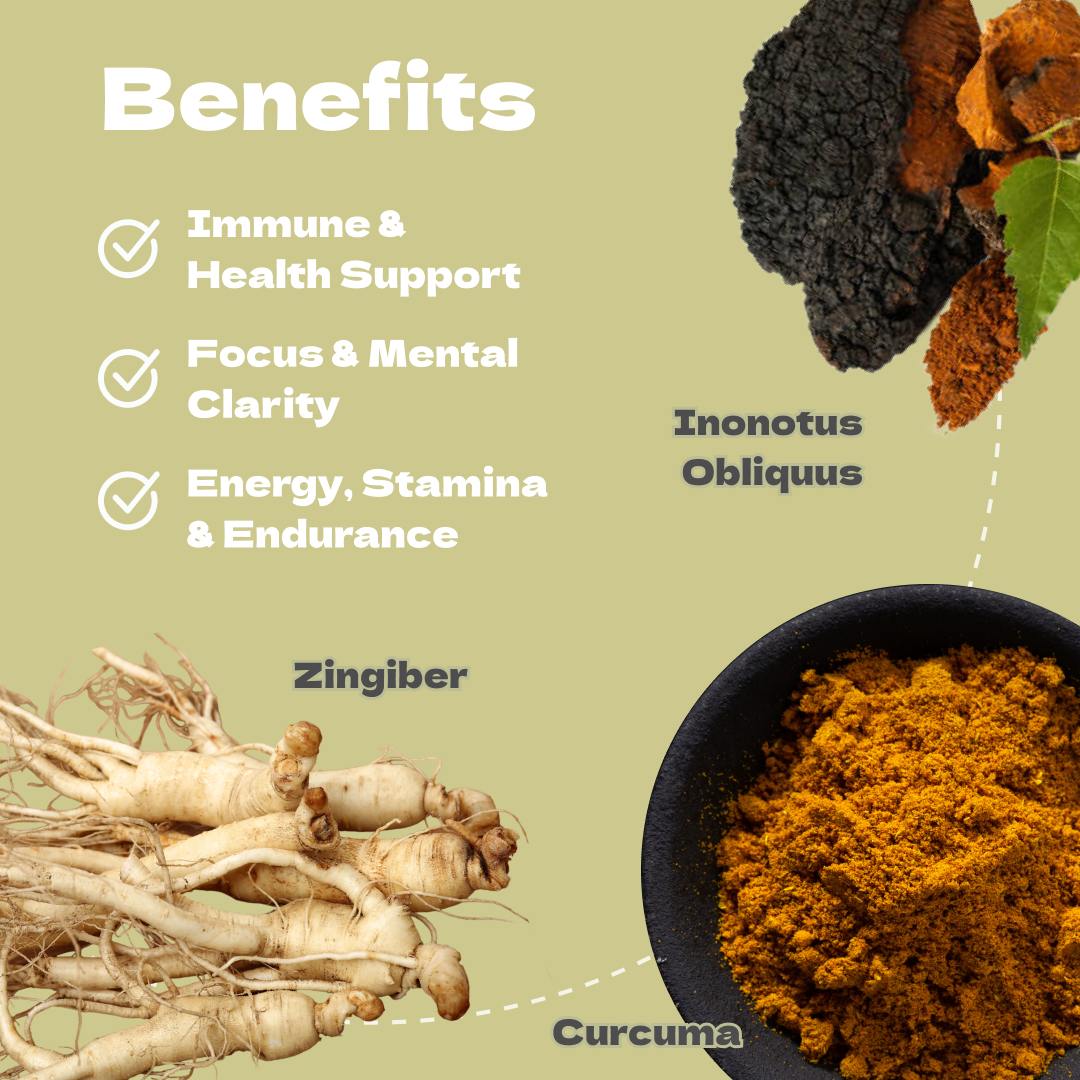 Benefits of IMMUNE supplement, highlighting immune support, mental clarity, and stamina boost with Chaga, Curcuma, and Zingiber.