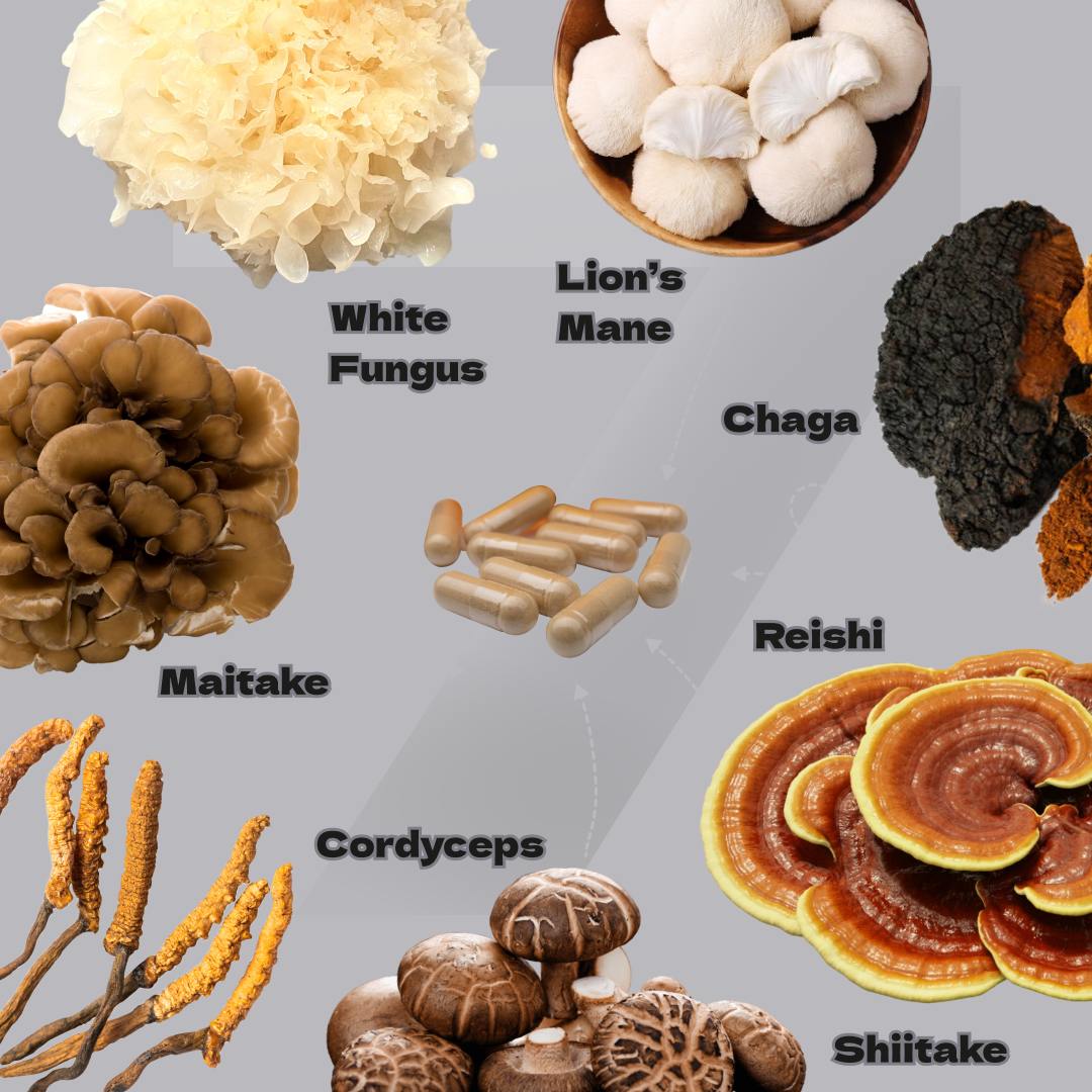 Mushroom Supplement Capsules – Vegan & GMO-Free Adaptogenic Blend