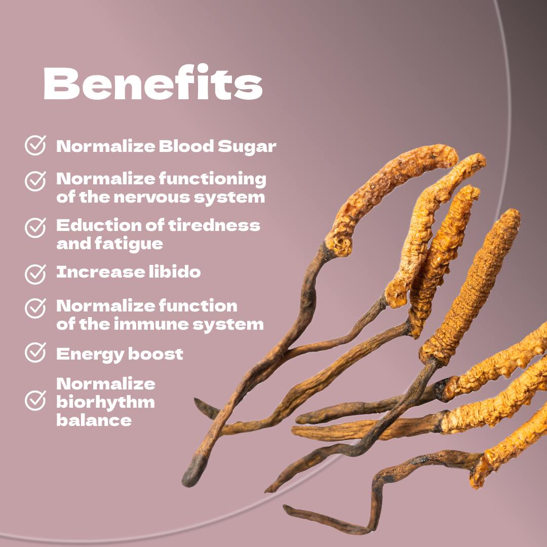 Cordyceps Mushroom Benefits – Supports Energy, Endurance, and Immune Function