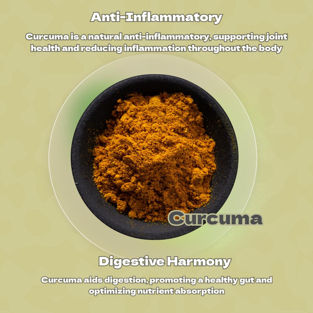 Curcuma (Tetrahydrocurcuminoids) for anti-inflammatory benefits and digestive harmony.