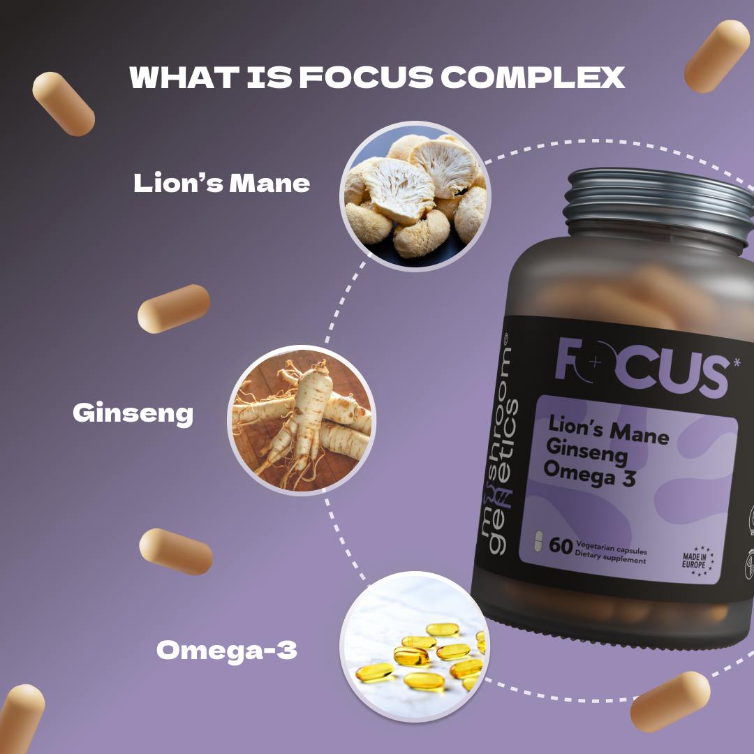 A graphic showing the key ingredients in Focus Complex—Lion’s Mane, Korean Ginseng, and Omega-3 capsules—along with their cognitive benefits.