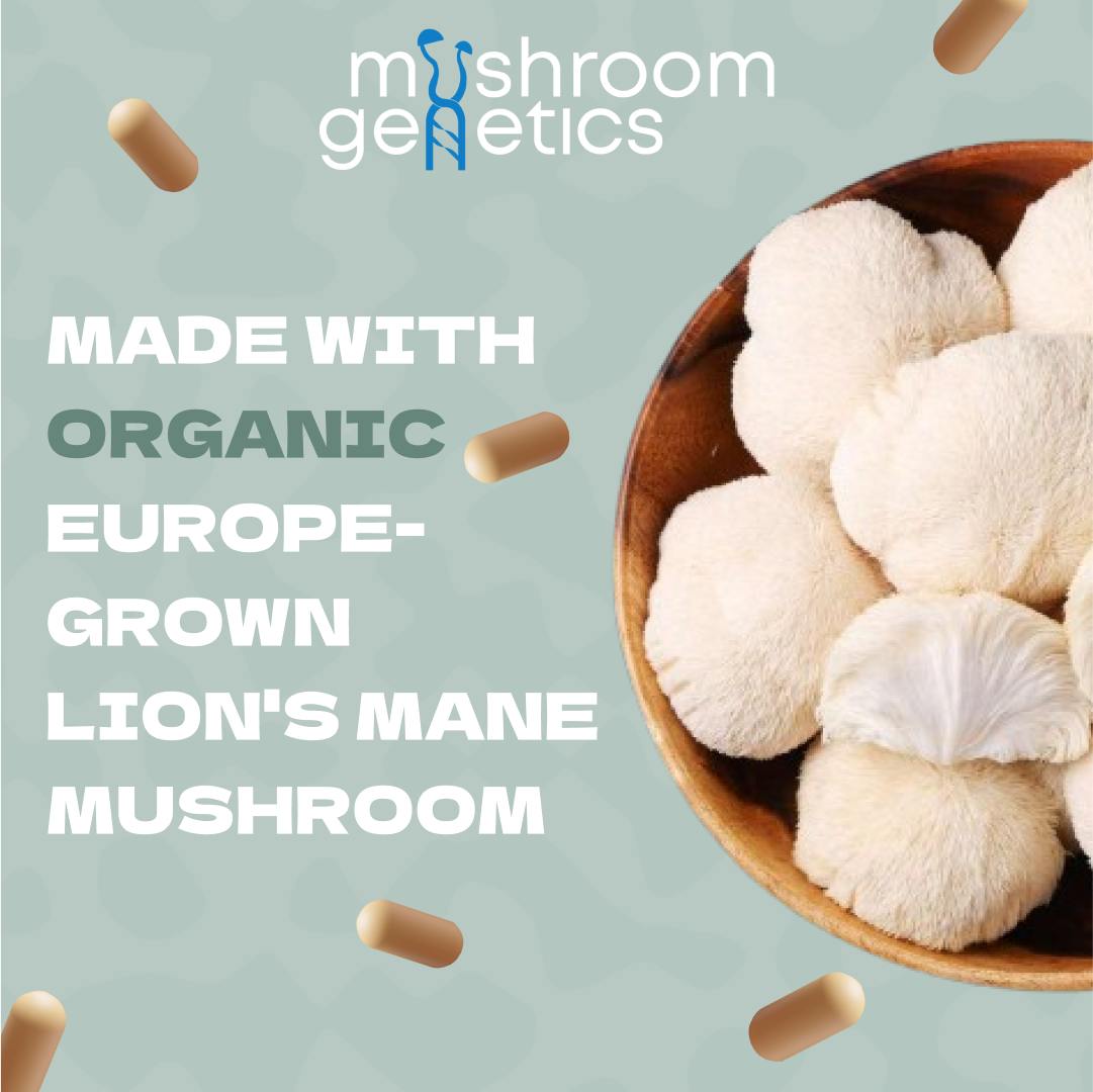 Close-up of organic Lion’s Mane mushrooms used in Awake supplement, European-grown and free from artificial additives.