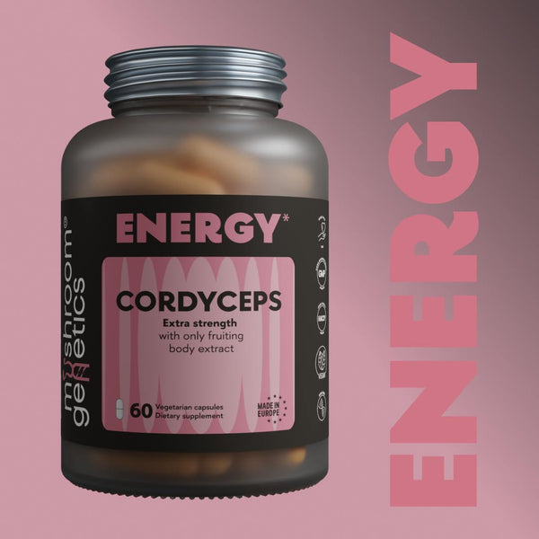 Cordyceps Energy Supplement – 60 Vegan Capsules for Endurance & Stamina