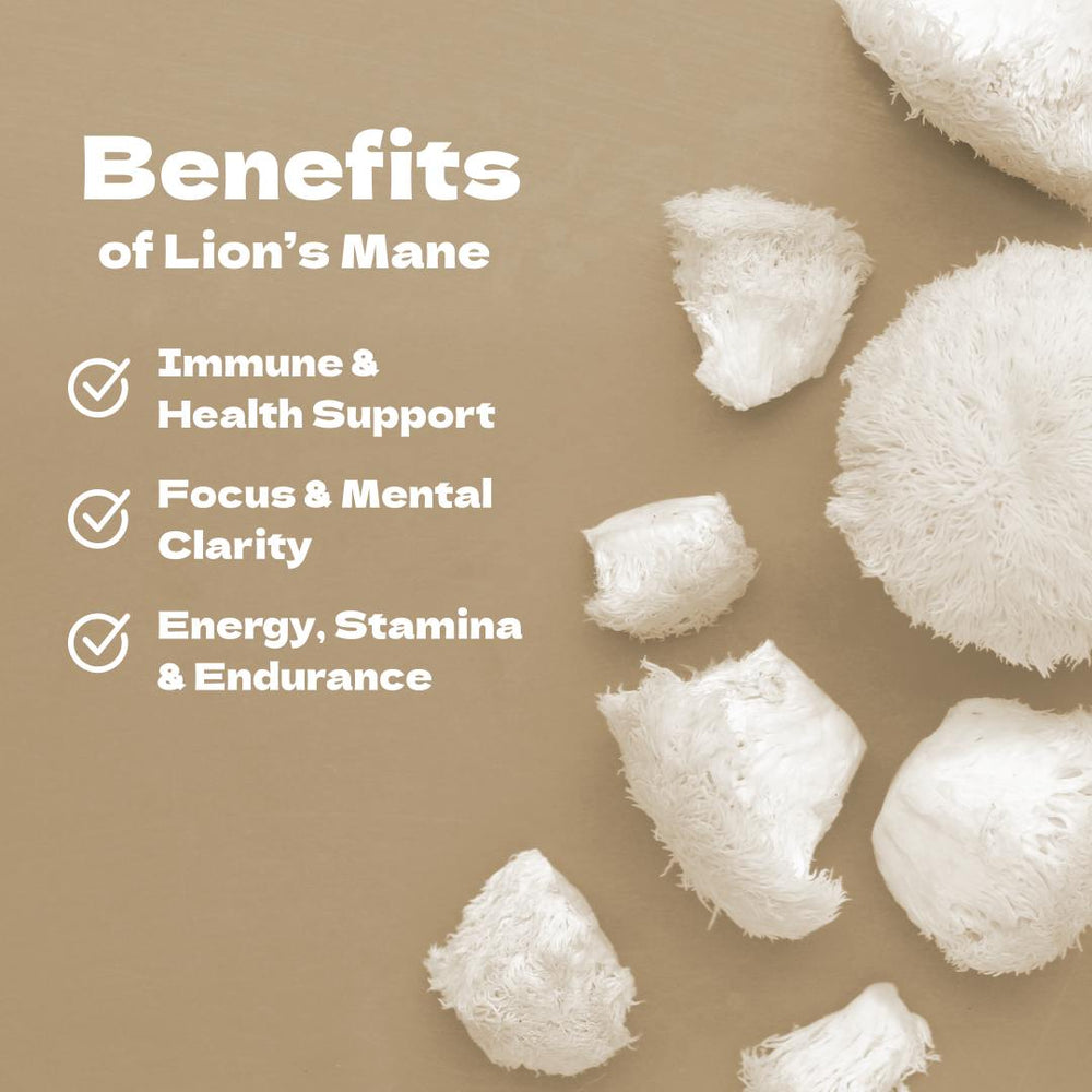 
                  
                    Key Benefits of Lion's Mane - Immune Support, Mental Clarity, and Endurance
                  
                