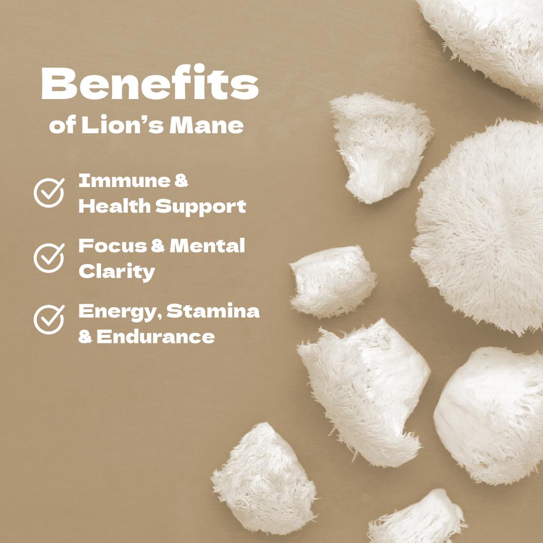 
                  
                    Key Benefits of Lion's Mane - Immune Support, Mental Clarity, and Endurance
                  
                