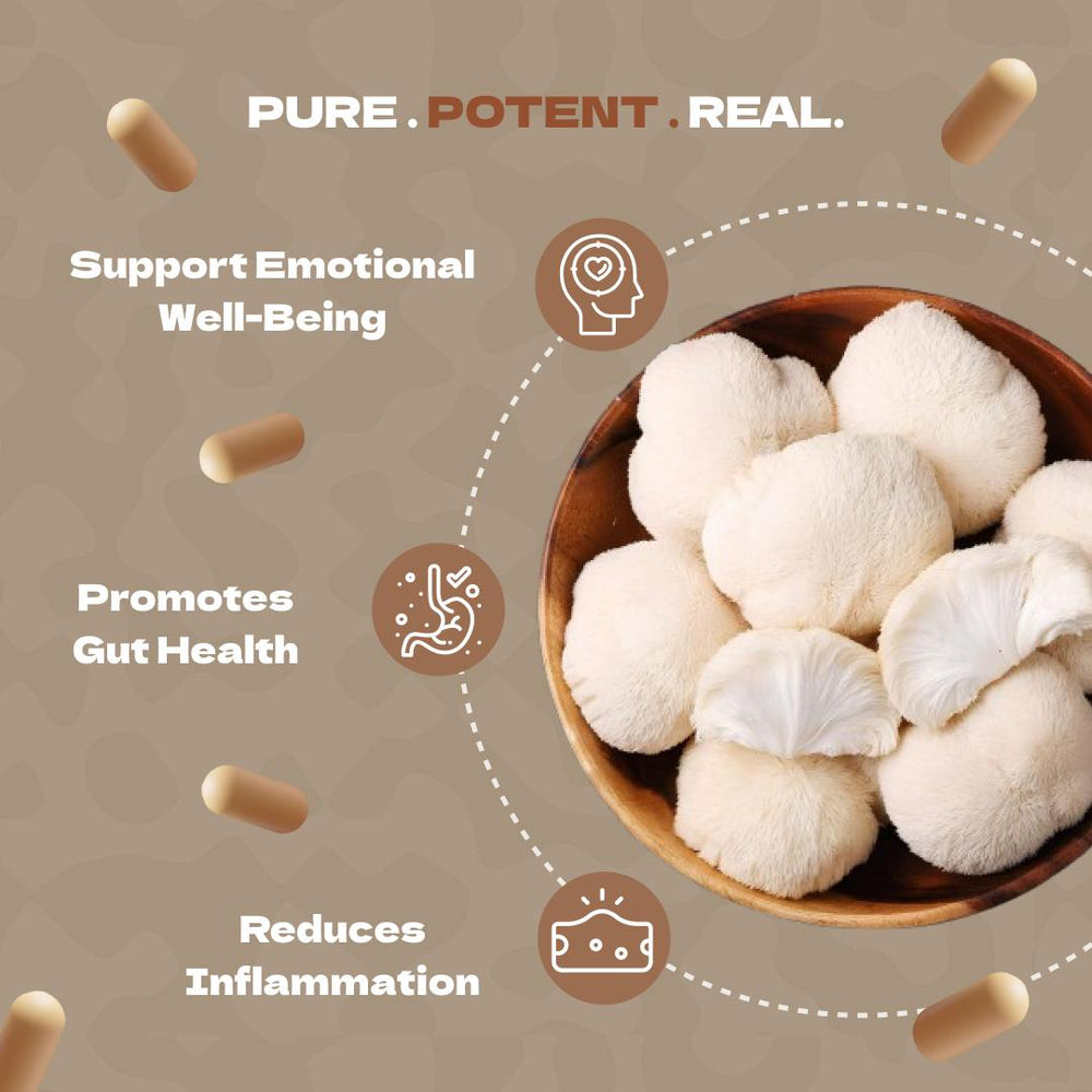 
                  
                    Organic Lion's Mane Mushroom - Supports Emotional Well-Being, Gut Health, and Reduces Inflammation
                  
                
